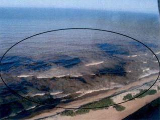 97 Figura 12 Vista da mancha de óleo na praia de Degredo, Linhares Fonte: Espírito Santo (2002).