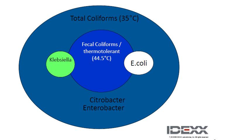 Grupo Coliformes 14 Copyright year IDEXX Laboratories