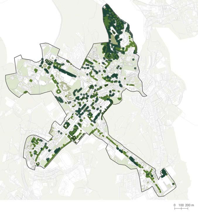 Um dos principais problemas diagnosticado em muitos dos espaços verdes públicos identificados na cidade de Felgueiras, para além da sua desadequação aos potenciais utilizadores pela pouca