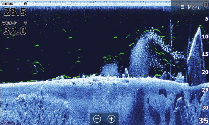 de peixe na imagem DownScan.