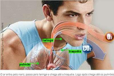 CAPACIDADE PULMONAR O volume total de ar que cabe no sistema respiratório e a capacidade pulmonar total e corresponde a +/- 6 litros.