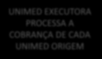 PROCESSA AS CONTAS DO PRESTADOR UNIMED EXECUTORA PAGA AS CONTAS DO PRESTADOR ISSO NÃO