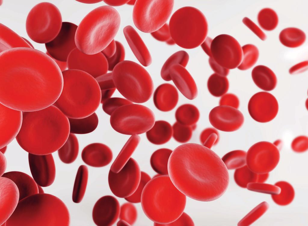 Como funciona o sangue e células sanguíneas em condições normais Como funciona o sangue e as células sanguíneas no caso da PTI O sangue é formado por uma parte líquida (plasma) e uma parte celular