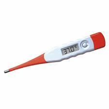 Medindo a Temperatura: Termômetros Termômetro de Hg Termômetro digital