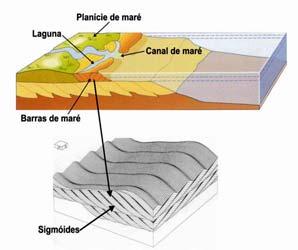 rochas que afloram no lajedo estruturas sedimentares associadas a canais e barras de maré sigmoidais (Figura 2).