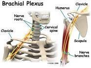 cervicais Dr.