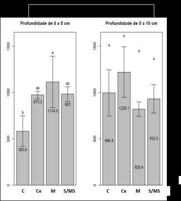 992,35 mg C-CO 2 kg -1 para as profundidades de 0-5cm e 5-10cm respectivamente.