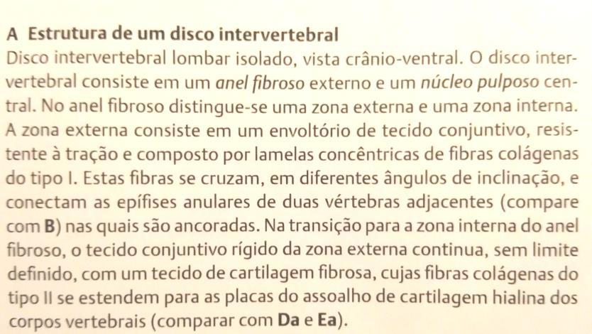Disco Intervertebral Julho 2011 Manual de