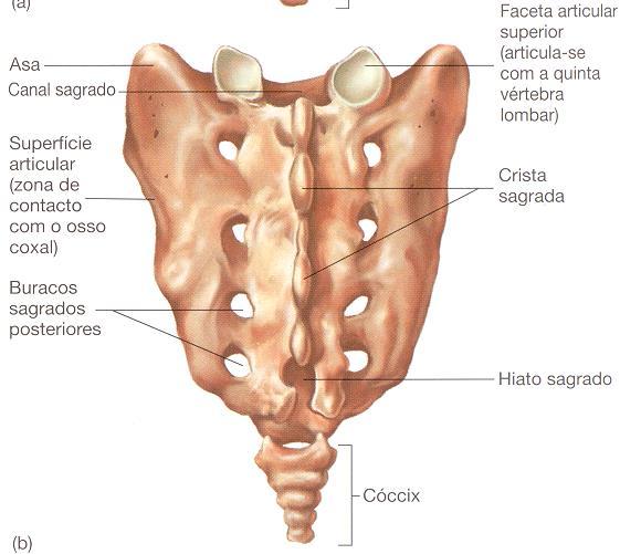 Índice 84