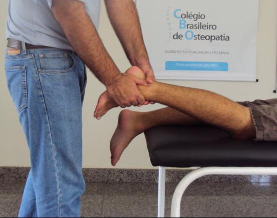 2 Articulação tibiotársica A mobilidade dessa área é importante durante os movimentos de flexão plantar e dorsal.