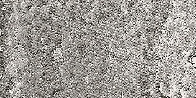 (ESTRELA, 2004) Figura 2 Imagem representativa da ausência de Smear Layer na parede do canal. (ESTRELA,2004) 1.
