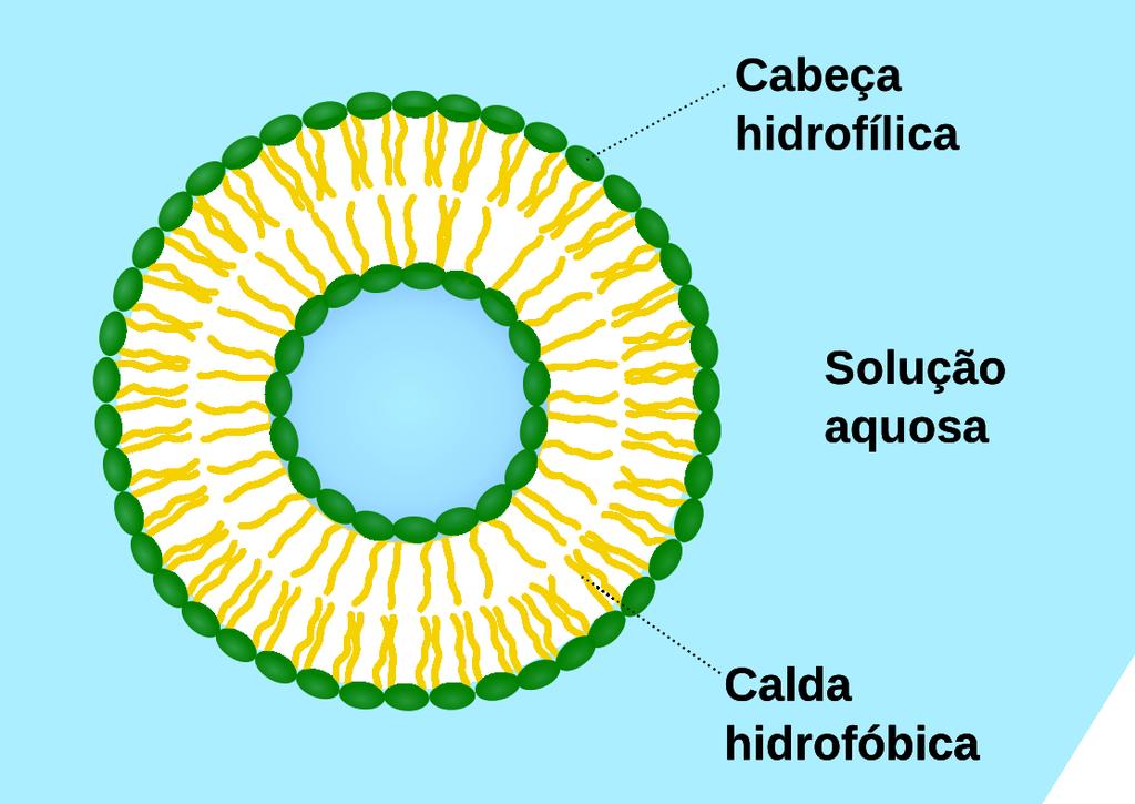 Protocélulas Protocélulas