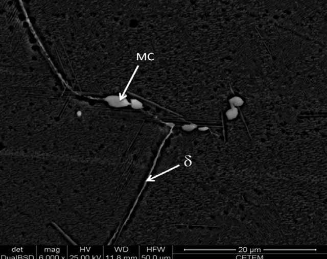 Figura 8 - Micrografia obtida via MEV da liga Inconel 718 após tratamento térmico a 700ºC por 2000 h, identificando a fase delta em morfologia de plaquetas