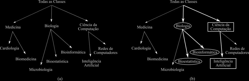 Classificação