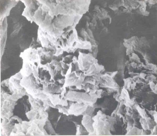 caolinita, quase exclusivo. As placas de caulinita (Ø < 2,00 mícrons) são cimentadas pelos óxidos e pelos hidróxidos, produzindo uma microestrutura com aspecto de pipoca.