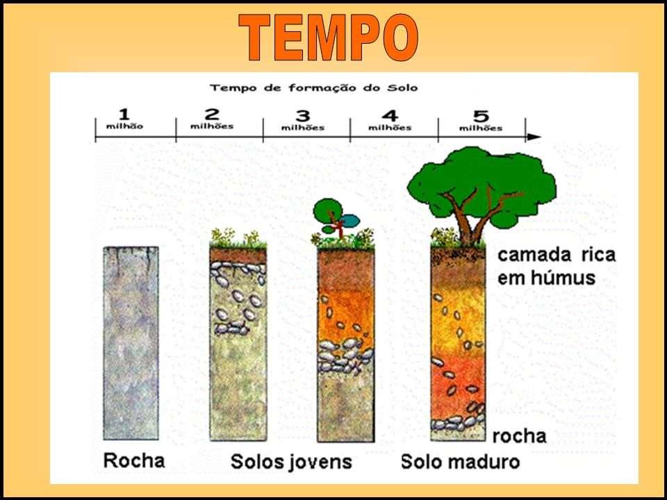 Formação