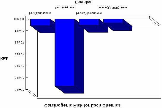 75 SUMMARY OF CARCINOGENIC RISK For Surface Soil CASE 1: Worker - Typical Dermal Contact Soil TOTAL Benz(a)anthracene 5.8E-08 5.8E-08 Benzo(a)pyrene 5.7E-07 5.