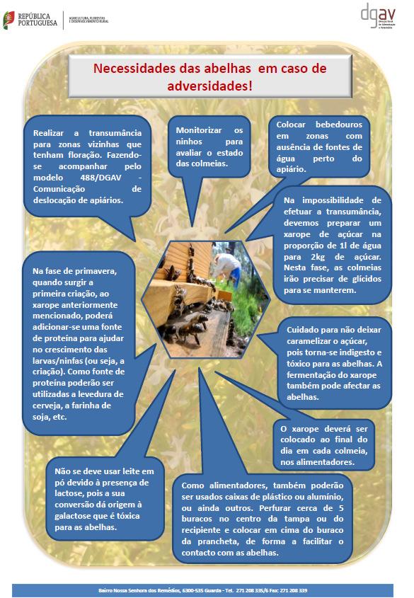 Anexo III Folheto informativo com orientações ao setor apícola para
