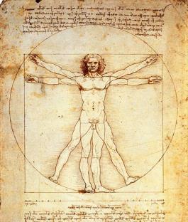 14/08/2018 13 14 Antropometria e arquitetura O Homem Vitruviano é um desenho de 1492, de Leonardo da Vinci. O conceito desta ilustração advém de Marco Vitruvio Polião em Os dez livros da Arquitetura.