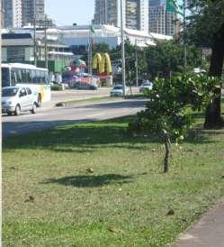 implantada a estação Barra Square.