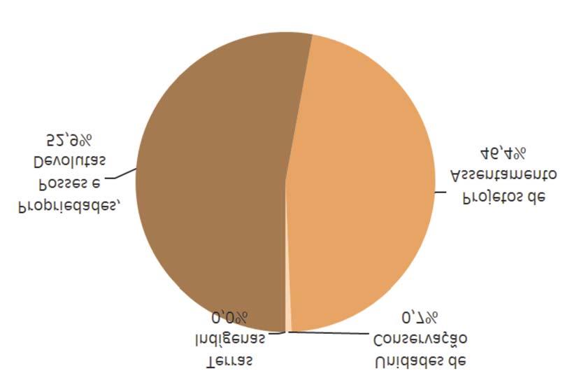 Figura 4. Percentual de desmatamento por categoria fundiária no sul do Amazonas, de agosto de 2009 a julho de 2010 (área desmatada: 120 km²). Fonte: Imazon/SAD. Tabela 2.