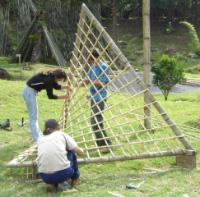 Vamos relembrar as diferenças entre uma parábola e uma hipérbole?