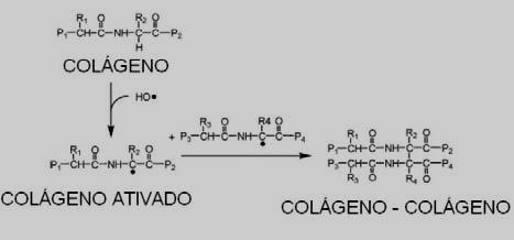 LITERATURA 16 No final da década de 90, foi proposto o uso de luz ultravioleta associada a um agente fotossensibilizante (riboflavina) para indução da reticulação do colágeno corneal (CCL).