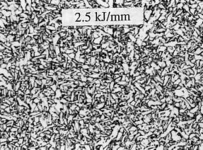 16 Na Figura I.10 é possível observar a diferença de microestruturas dos metais de solda obtidos por VIANO [27], onde observa-se o efeito da soldagem com elevada energia de soldagem.