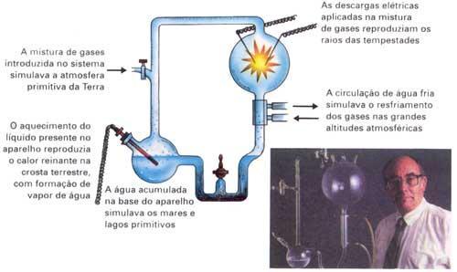 O experimento de Miller Experimento de Miller-Urey =Construído um aparelho que simulava as condições da Terra primitiva e