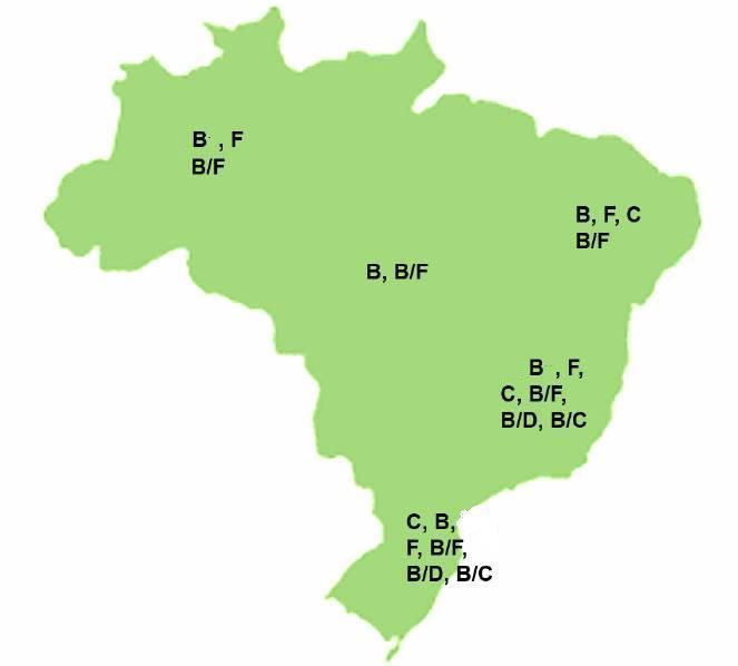 45 presença dos subtipos F e D. Resultado semelhante foi encontrado nos estados do Ceará, Pernambuco, também presentes na região Nordeste do Brasil (Gadelha et al., 2003; Medeiros et al.