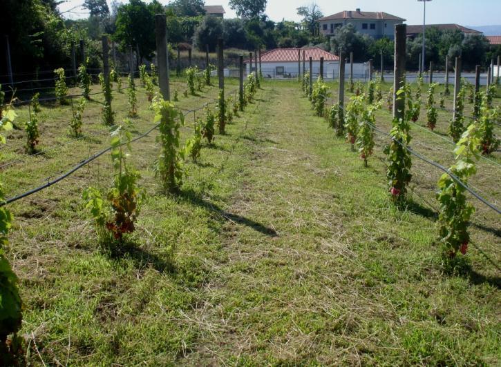 mobilização Revestimento