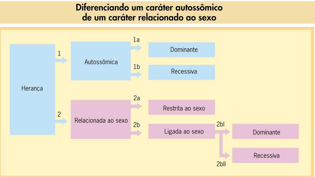 Dominante Autossômica Recessiva Herança Relacionada ao