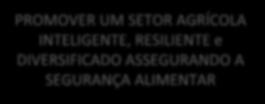 PLANO ESTRATÉGICO PAC OBJETIVOS GERAIS OBJETIVOS ESPECÍFICOS PROMOVER UM SETOR AGRÍCOLA INTELIGENTE, RESILIENTE e DIVERSIFICADO ASSEGURANDO A SEGURANÇA ALIMENTAR