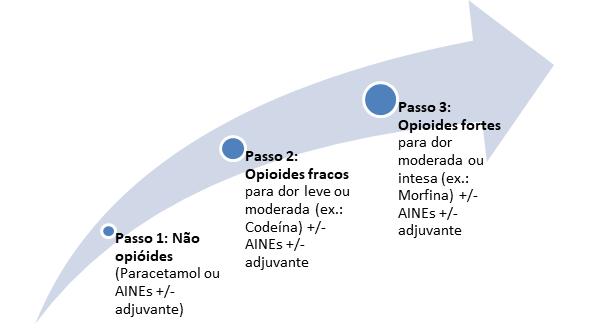 Para que a dor de determinado paciente seja tratada corretamente, alguns aspectos devem ser considerados previamente: local e intensidade da dor, estado físico do paciente, alterações clínicas do