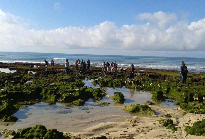poças de maré Percurso de Interpretação Ambiental Poças de Maré na Praia Manuel Lourenço Objetivo Descoberta e observação de seres vivos, proporcionando um contacto direto com os organismos marinhos.