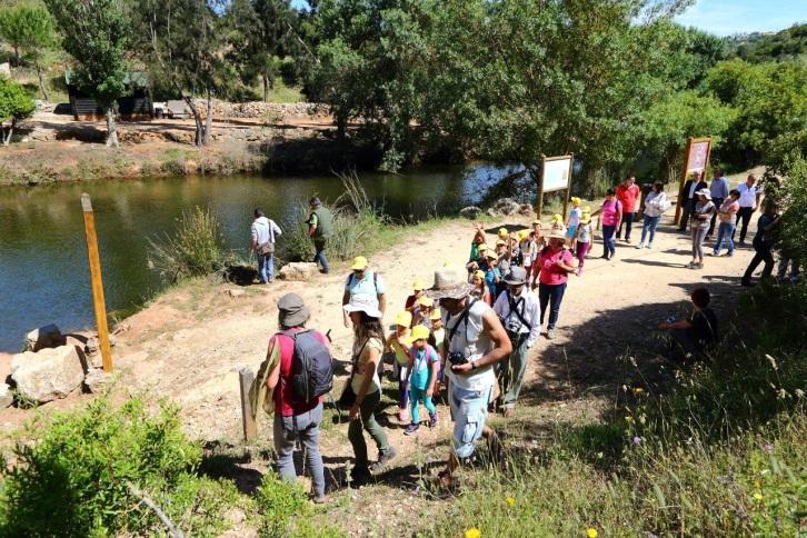 Inscrições Estrutura Inscrições limitadas à disponibilidade dos serviços; A ficha de inscrição poderá ser acedida em www.cm-albufeira.pt (Educação Ambiental) ou em educacao.