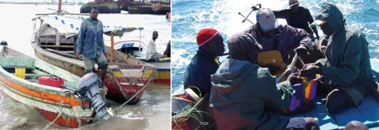 b. Profissionais envolvidos na pesca artesanal; As medidas implementadas, permitiram que houvesse aumento de produção e consequente aumento do número de interessados em trabalhar em actividades