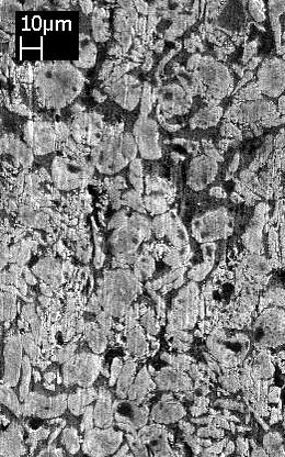 (a) (b) (c) Figura 8 Microscopia eletrônica de varredura do centro das crateras