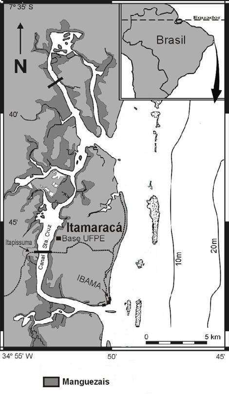 Figura 1: Mapa do canal de Santa Cruz, Itamaracá - Pernambuco evidenciando o local de coleta localizado na Base da Universidade Federal de Pernambuco (UFPE). 3.2 