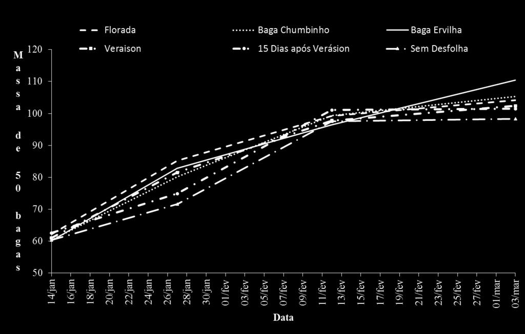 84 RESULTADOS E DISCUSSÃO Durante a maturação das bagas da uva Sauvignon Blanc, observou-se um aumento da massa de bagas até o dia 11 de fevereiro, havendo a partir de então, uma estabilização da