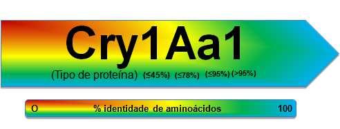 As proteínas Cry estão classificadas em 75 grupos e diferentes subgrupos e são codificadas por mais de 840 genes cry já