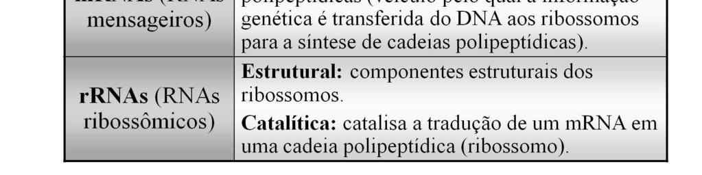 O rrna é componente estrutural dos