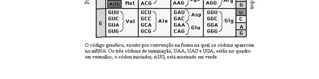 (Ile) K= Lisina (Lys) L= Leucina (Leu) M= Metionina (Met) N= Asparagina (Asn) P= Prolina (Pro) Q= Glutamina