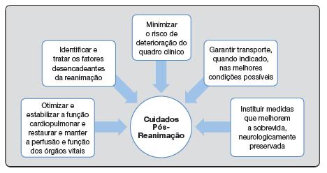 Cuidados Pós-Reanimação Neonatal Elaboração de manual dirigido a