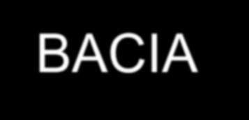 BACIA Estruturas