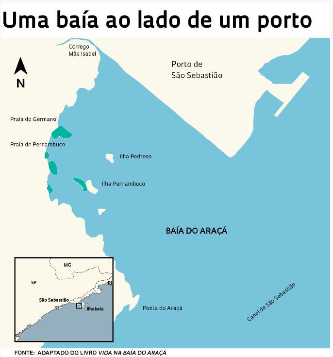 Através de visitas mensais realizadas ao Mangue do Araçá (Figura 1 e 2, respectivamente), foram realizados