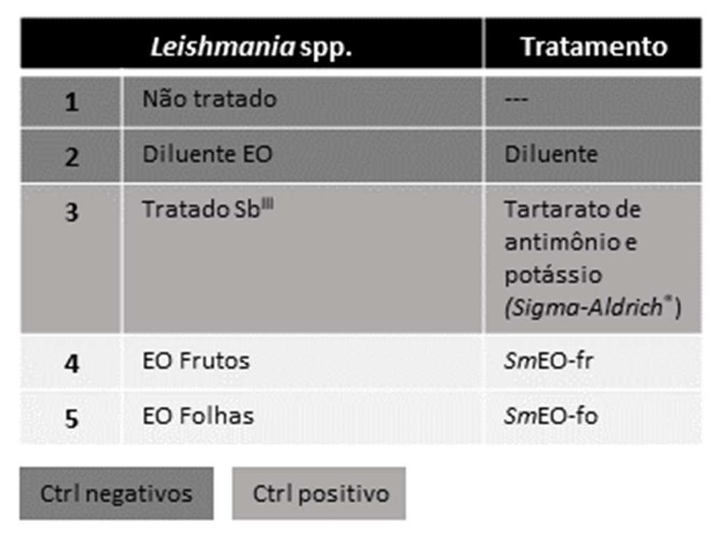 As cepas de Leishmania spp. serão tratadas com os óleos essenciais derivados de folhas ou frutos da planta (Figura 2).