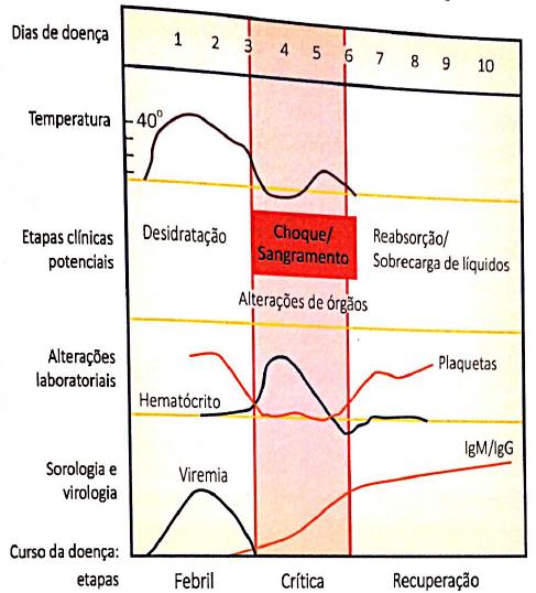 o Há maior chance de desenvolver fenômenos hemorrágicos quando a segunda infecção ocorre pelo sorotipo 2.