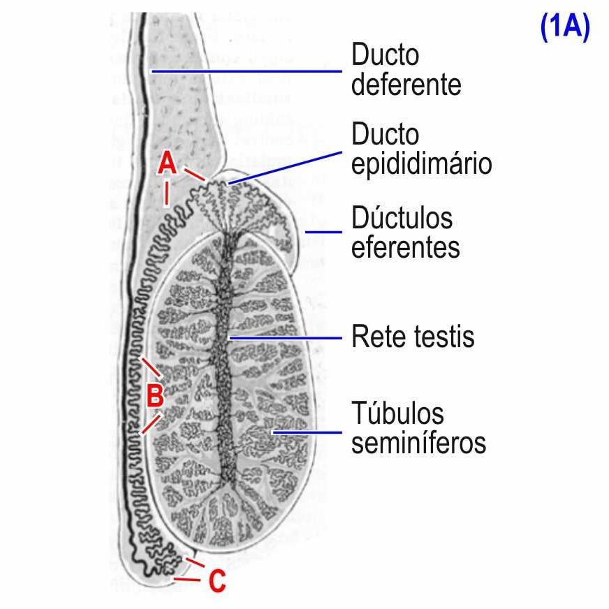 PRODUÇÃO