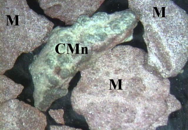 5 Caracterizações Física, Mineralógica e Química 84 A maioria dos grãos do solo SR2 apresentou hábito lamelar e brilho, característicos das micas.